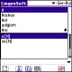 LingvoSoft Dictionary German <-> Russian for Palm